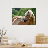 Poster Haflinger mare and foal cuddling (Cuisine)