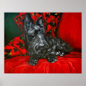 Poster Haggis the Scottish Terrier (Devant)