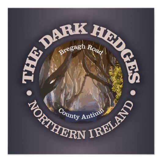 Poster Haies sombres (rd) (Devant)