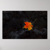 Poster Haiku (Devant)