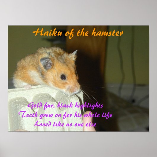 Poster Haiku du Hamster 1 (Devant)