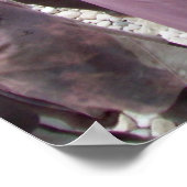 Poster Haïti face à la faim (Coin)