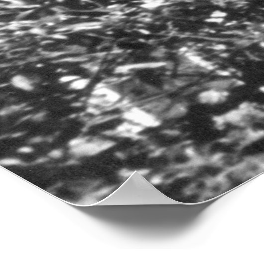 Poster Haïti Sans Souci (Coin)