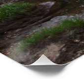 Poster Half Dome and Merced (Coin)