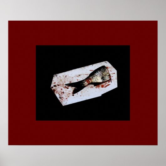 Poster Half Fish (Devant)