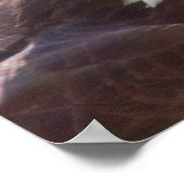 Poster Haliaeetus leucocephalus (Coin)