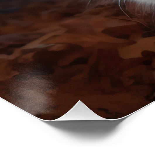 Poster Halloween, berger australien (Coin)