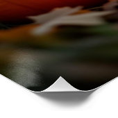 Poster Halloween. Chat (Coin)