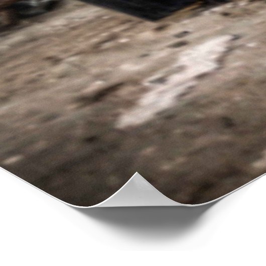 Poster Halloween effrayant. (Coin)