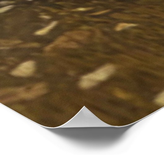 Poster Halloween effrayant. (Coin)