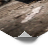 Poster Halloween effrayant. (Coin)