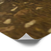 Poster Halloween effrayant. (Coin)