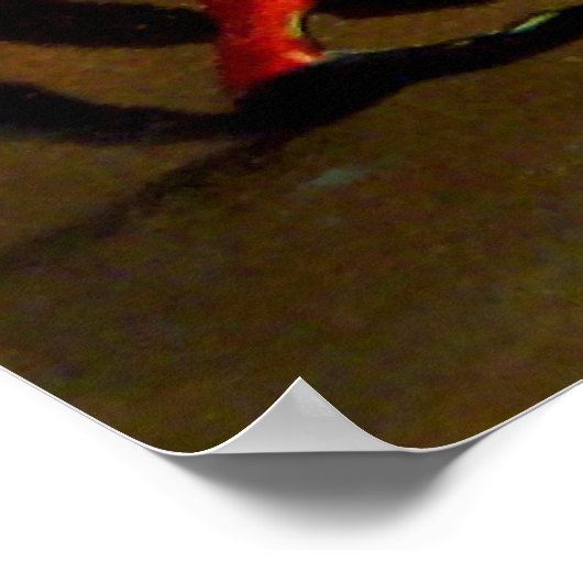 Poster Halloween Firecracker (Coin)