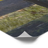 Poster Halloween Goblin Portrait - Beaux-Arts (Coin)