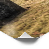 Poster Halloween Goth girl dans le cimetière (Coin)