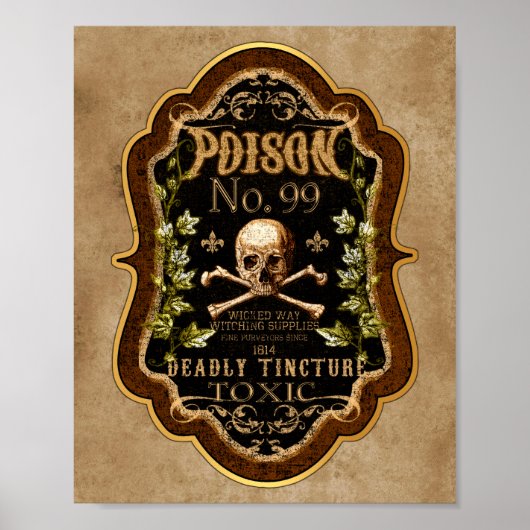Poster Halloween Gothique Crâne Et Crossbones Potion De S (Devant)