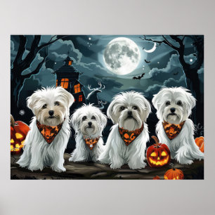 Poster Halloween maltais Éffrayant