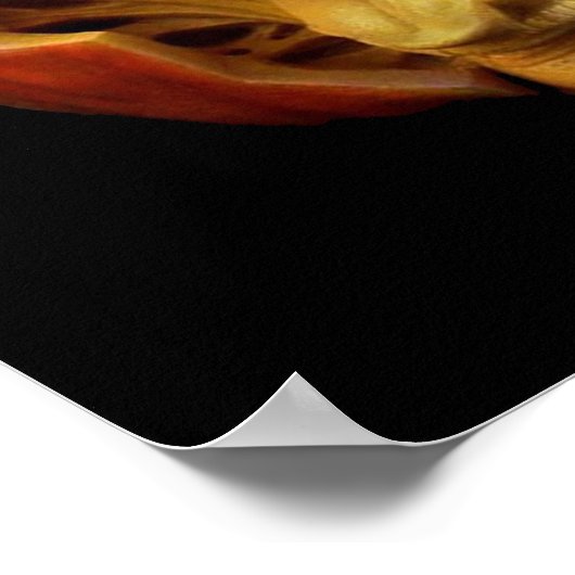 Poster Halloween sculpté Jack-O’-lanterne face d'effroi (Coin)