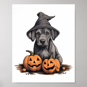 Poster Halloween sorcière Casquette chien Citrouille Grea