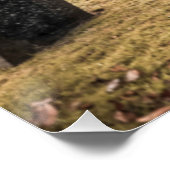 Poster Halloween Twin Goth filles dans le ciment (Coin)