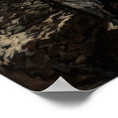 Poster Hals - Portrait De Jasper Schade (Coin)