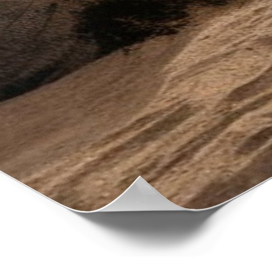 Poster Hamac reposant sur une plage (Coin)