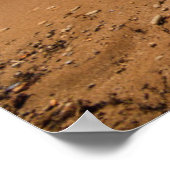 Poster Hamac sur le rivage (Coin)