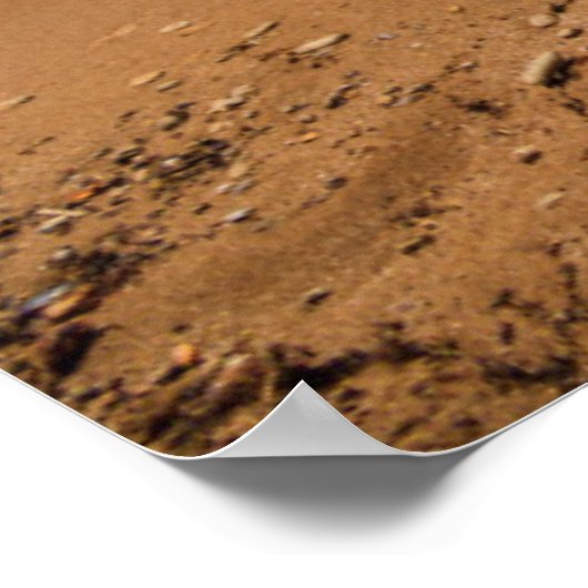 Poster Hamac sur le rivage (Coin)