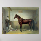 Poster Hambletonien de Rysdyk - 1876 (Devant)