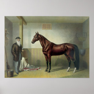 Poster Hambletonien de Rysdyk - 1876
