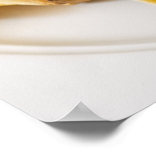 Poster Hamburger et frites (Coin)