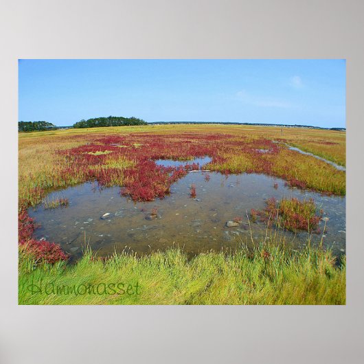 Poster Hammonasset (Devant)