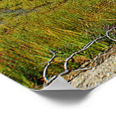 Poster Hammonasset (Coin)