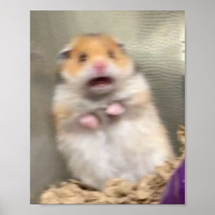 Poster Hamster de Scarred