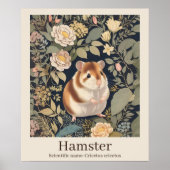 Poster Hamster Nom scientifique Animal (Devant)