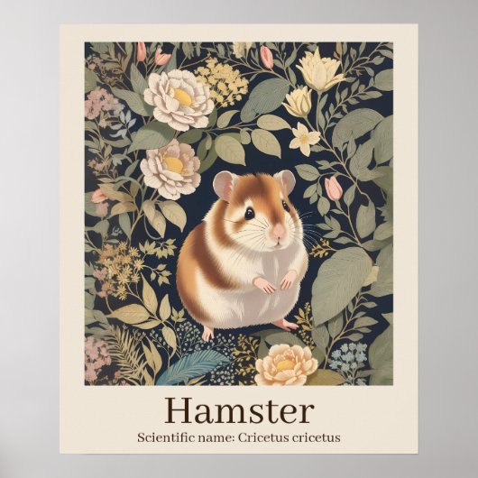 Poster Hamster Nom scientifique Animal (Devant)