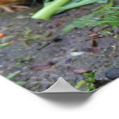 Poster Hamsters (Coin)