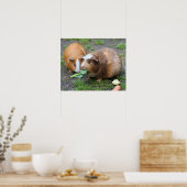 Poster Hamsters (Cuisine)