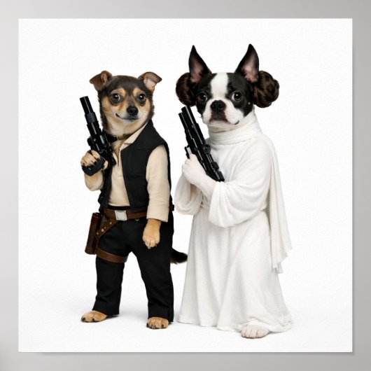 Poster "Han & Leia" (Devant)