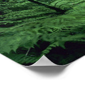 Poster Hanakapiai Chutes le long de la côte Na Pali, Kaua (Coin)