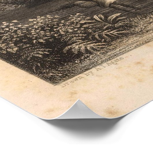 Poster Hanapepe Valley, Hawaii (Coin)