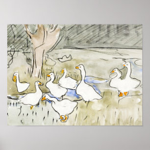 Poster Hand Drawn Cute Duck Photos White Duck Clipart Fam
