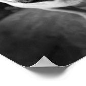 Poster Handsome pug (Coin)