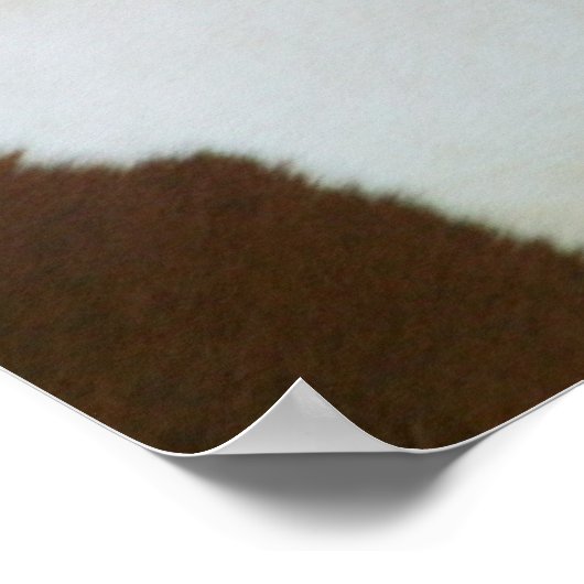 Poster Handsome Sonny (Coin)