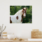 Poster Handsome Sonny (Cuisine)