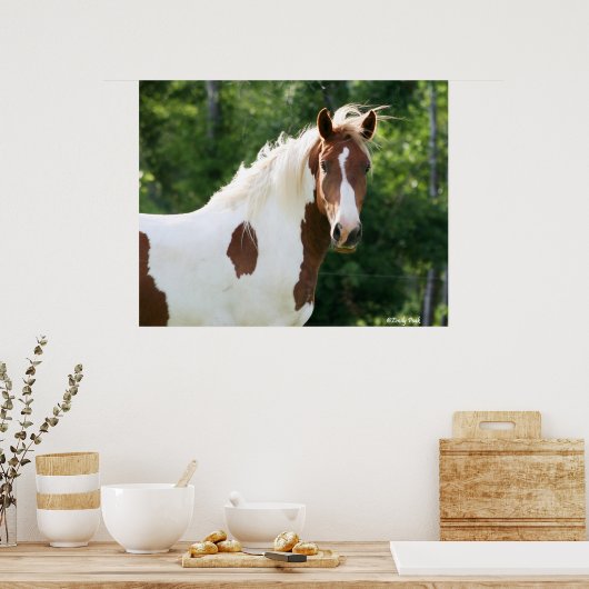 Poster Handsome Sonny (Cuisine)