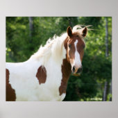 Poster Handsome Sonny (Devant)