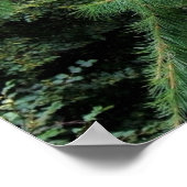 Poster Hanging in There (Coin)