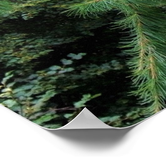 Poster Hanging in There (Coin)