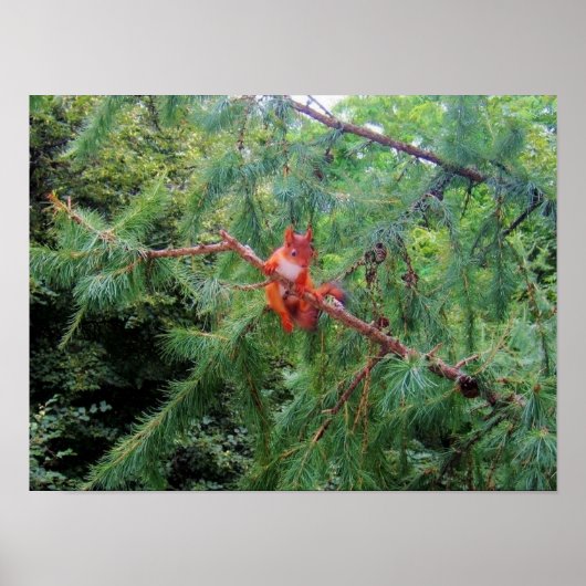 Poster Hanging in There (Devant)